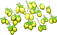 wampee_tree_layer2.png