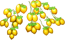 wampee_tree_layer3.png