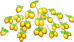 wampee_tree_xxl_layer3.png