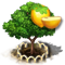 wampee_xl_icon_big.png