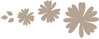wooden_deco00.png