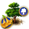 yellowtrumpet_tree_icon_big.png