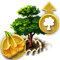 yellowtrumpet_tree_xl_icon_big.png