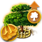 yellowtrumpet_tree_xxl_icon_big.png